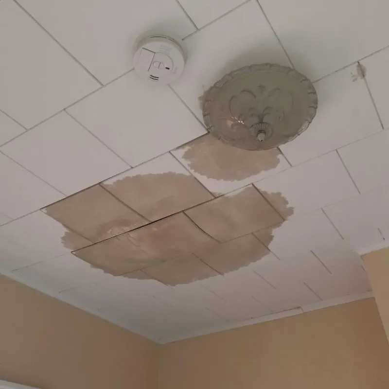 Ceiling Water Damage Repair in Camden, NY