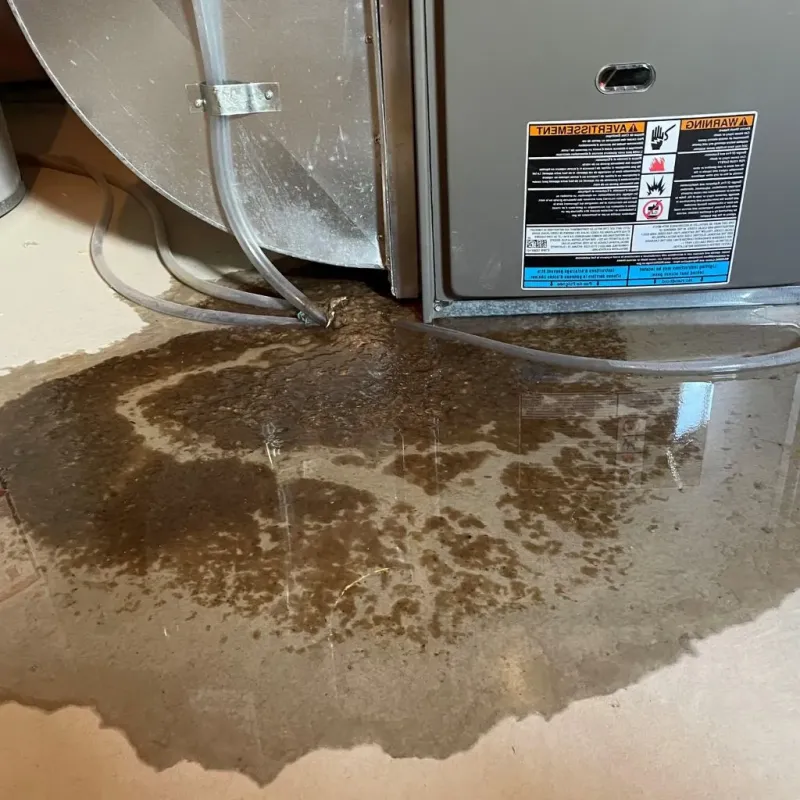 Pipe Burst and Leak Restoration in Camden, NY